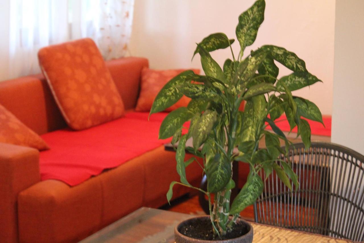 Willa Casa Botanica Blagaj Zewnętrze zdjęcie