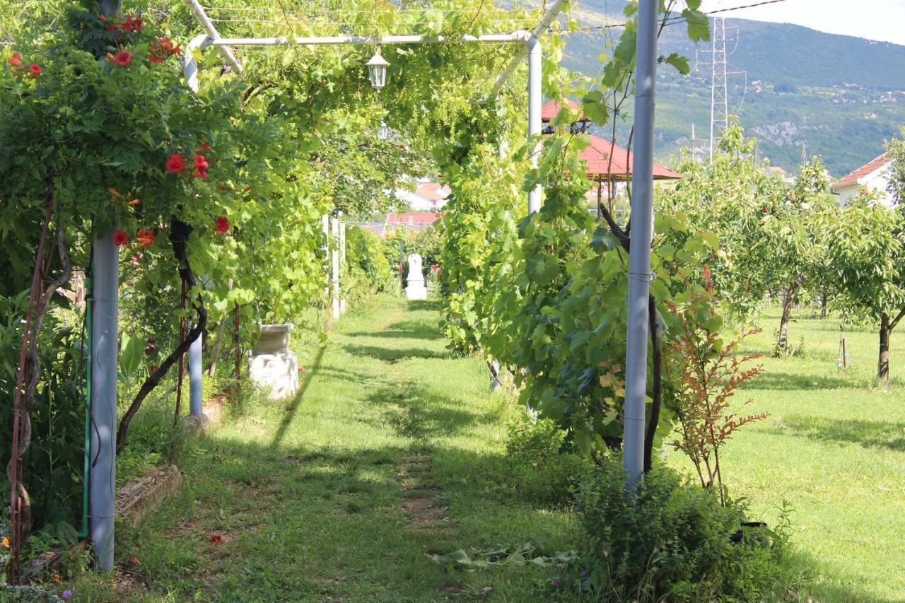 Willa Casa Botanica Blagaj Zewnętrze zdjęcie