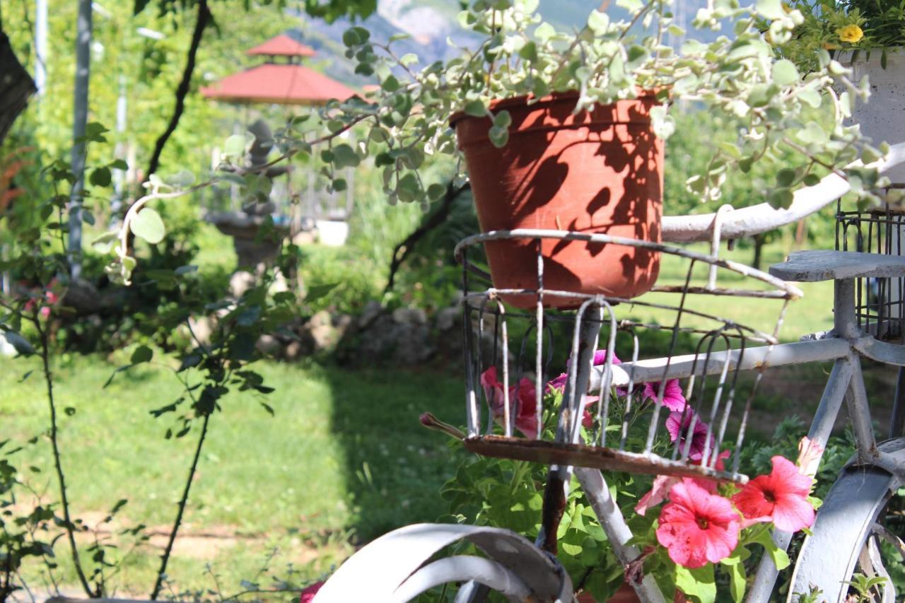 Willa Casa Botanica Blagaj Zewnętrze zdjęcie